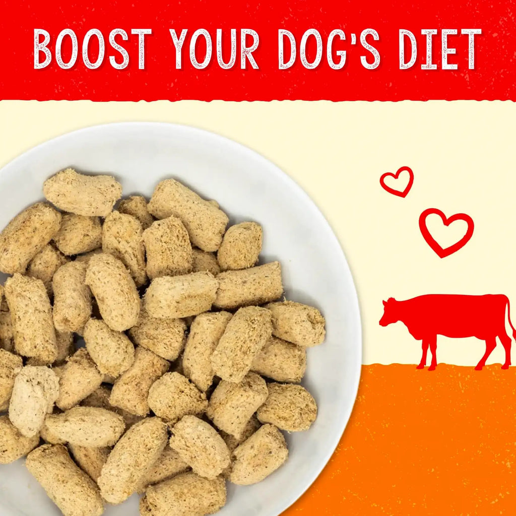 Stella's Solutions Digestive Boost Grass-Fed Beef Dinner Morsels for Dogs