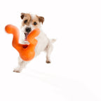 West Paw Tizzi Treat & Tug Dog Toys