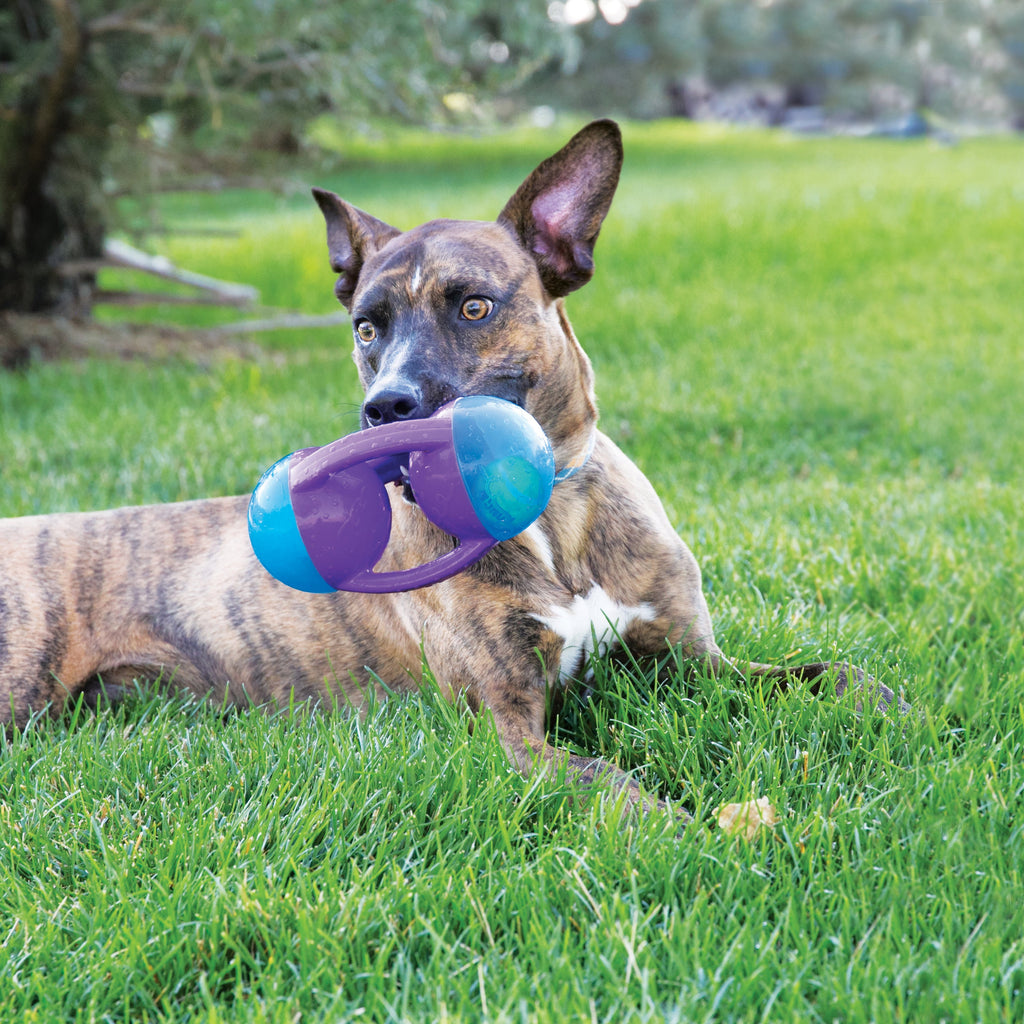 KONG Dog Toys Jumbler Disc Assorted