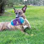 KONG Dog Toys Jumbler Disc Assorted