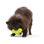 West Paw Tux Treat Dispensing Dog Toys