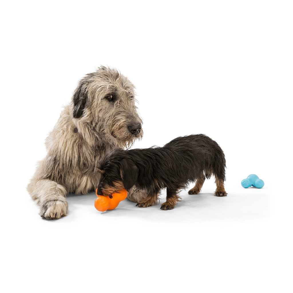 West Paw Tux Treat Dispensing Dog Toys