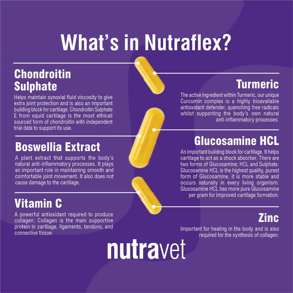 Nutravet - Nutraflex (Joint Supplement for Dogs & Cats) 60 caps