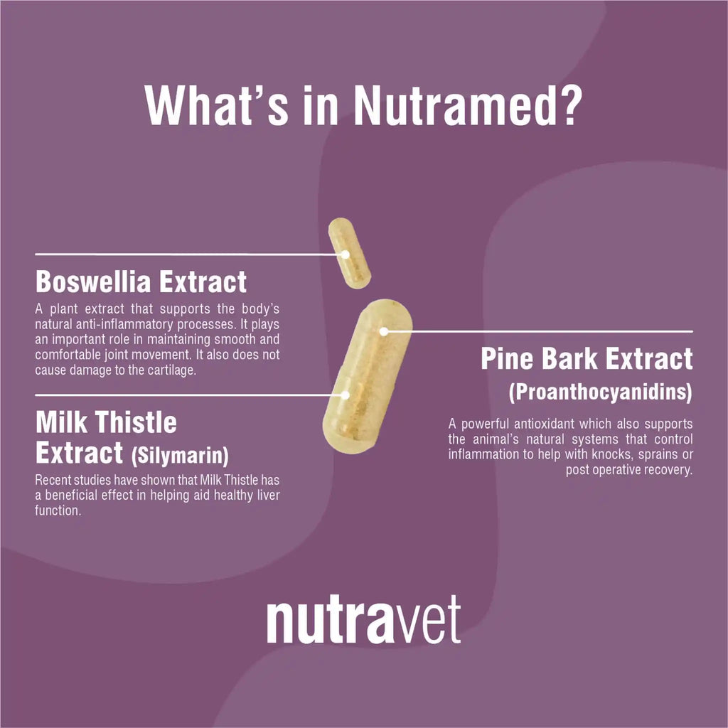 Nutravet - Nutramed (Inflammation Control for Dogs & Cats) 60 caps
