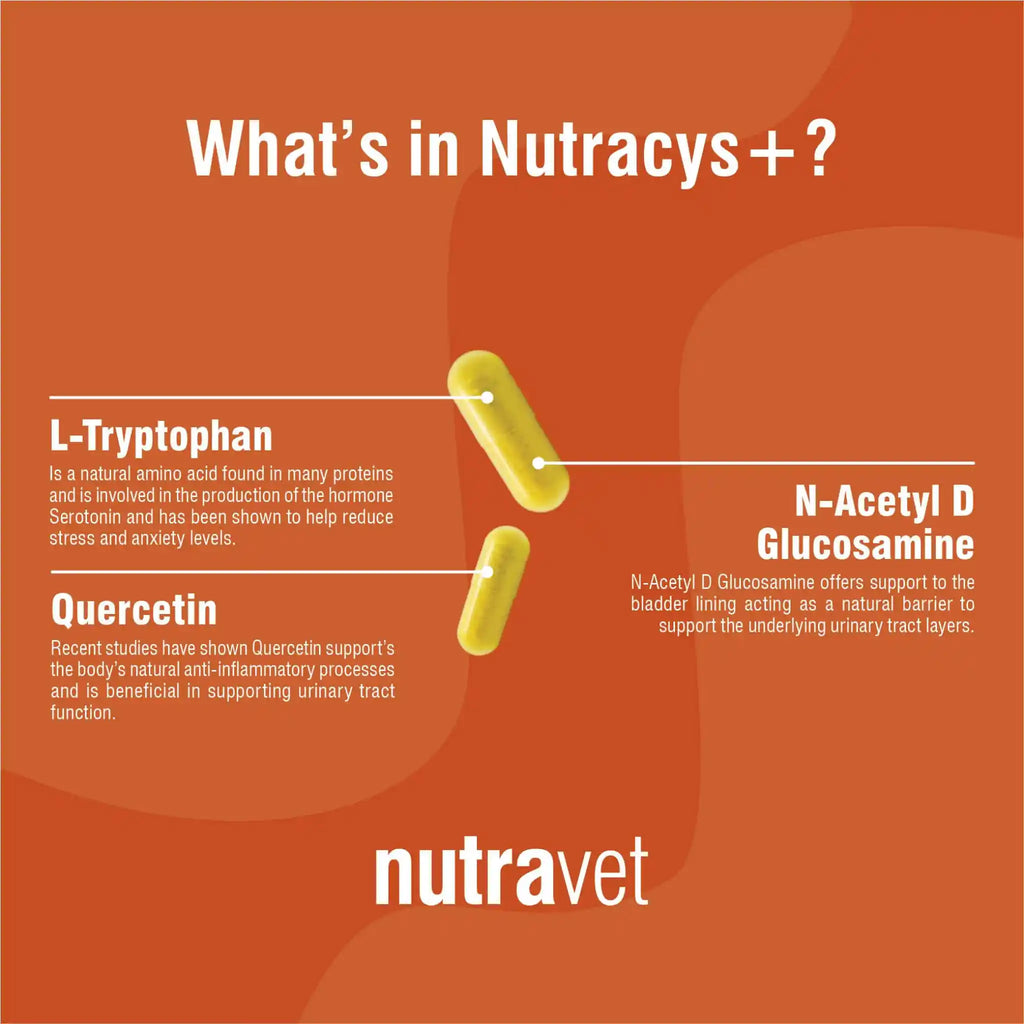 Nutravet - Nutracys+ (Urinary Supplement for Dogs & Cats) 220 caps
