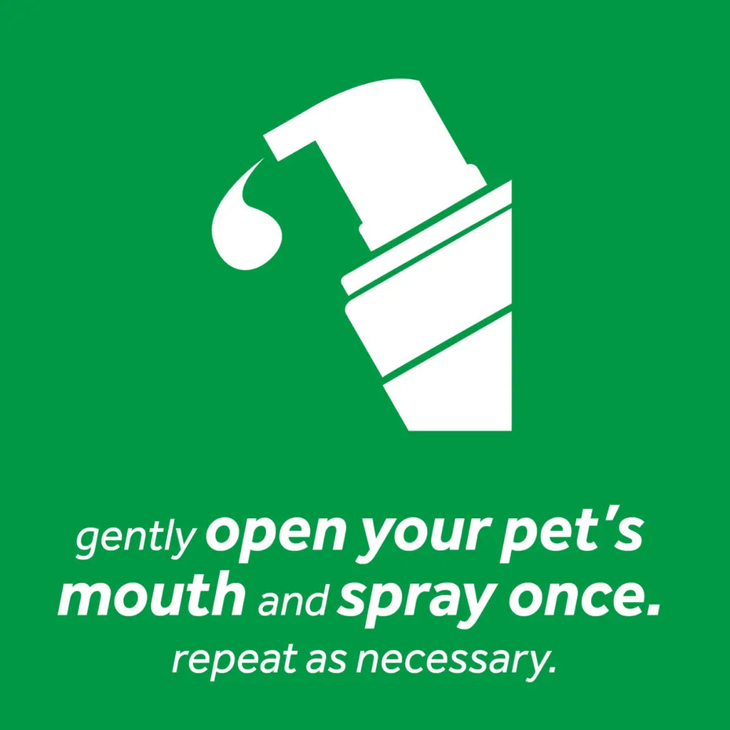 TropiClean - Fresh Breath Fresh Mint Foam For Dogs