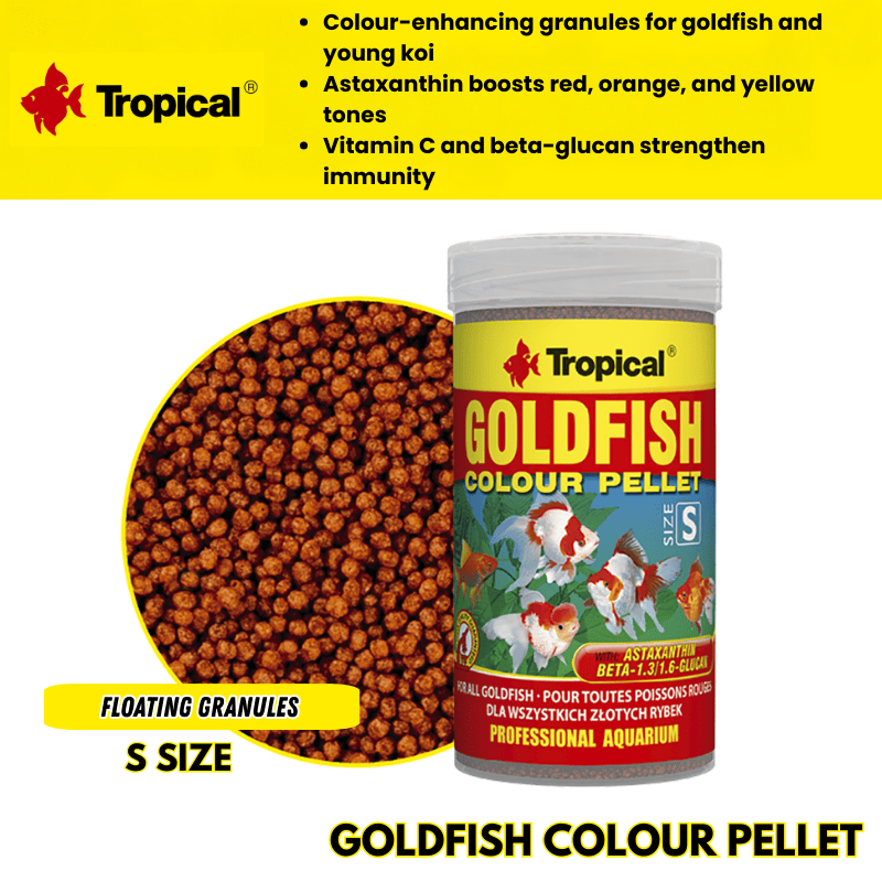 Tropical Goldfish Colour Pellet Size S  (color enhancing)