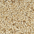 Safflower