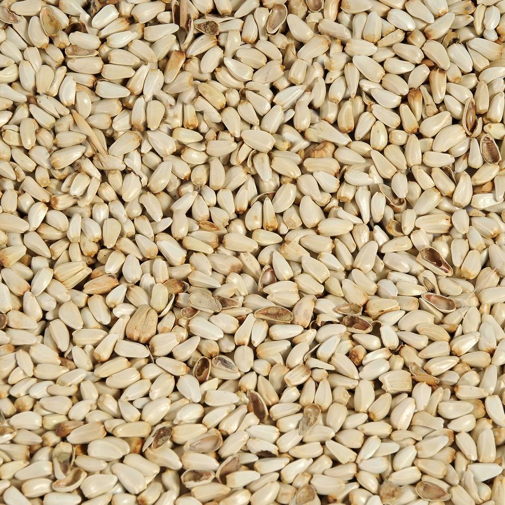 Safflower