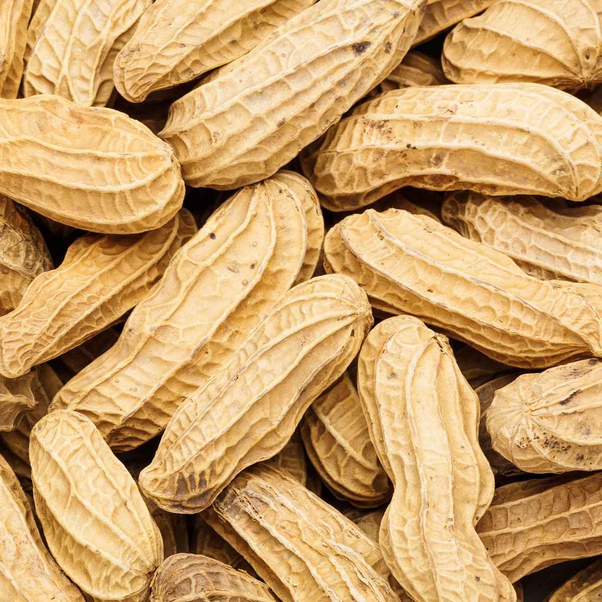 Whole Peanuts in the Shell