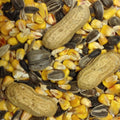Squirrel Mix Premium Wild Animal Feed