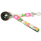 Max & Molly Dog Leash