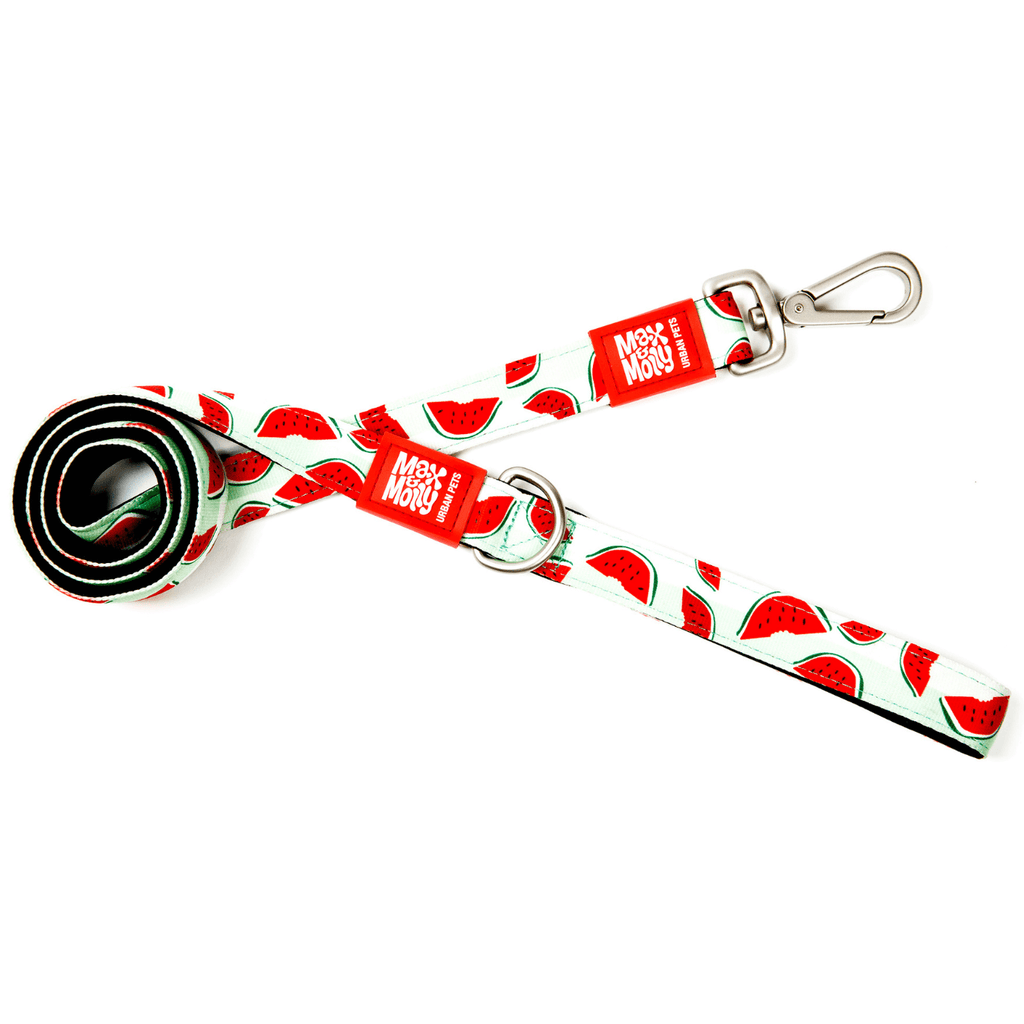Max & Molly Dog Leash