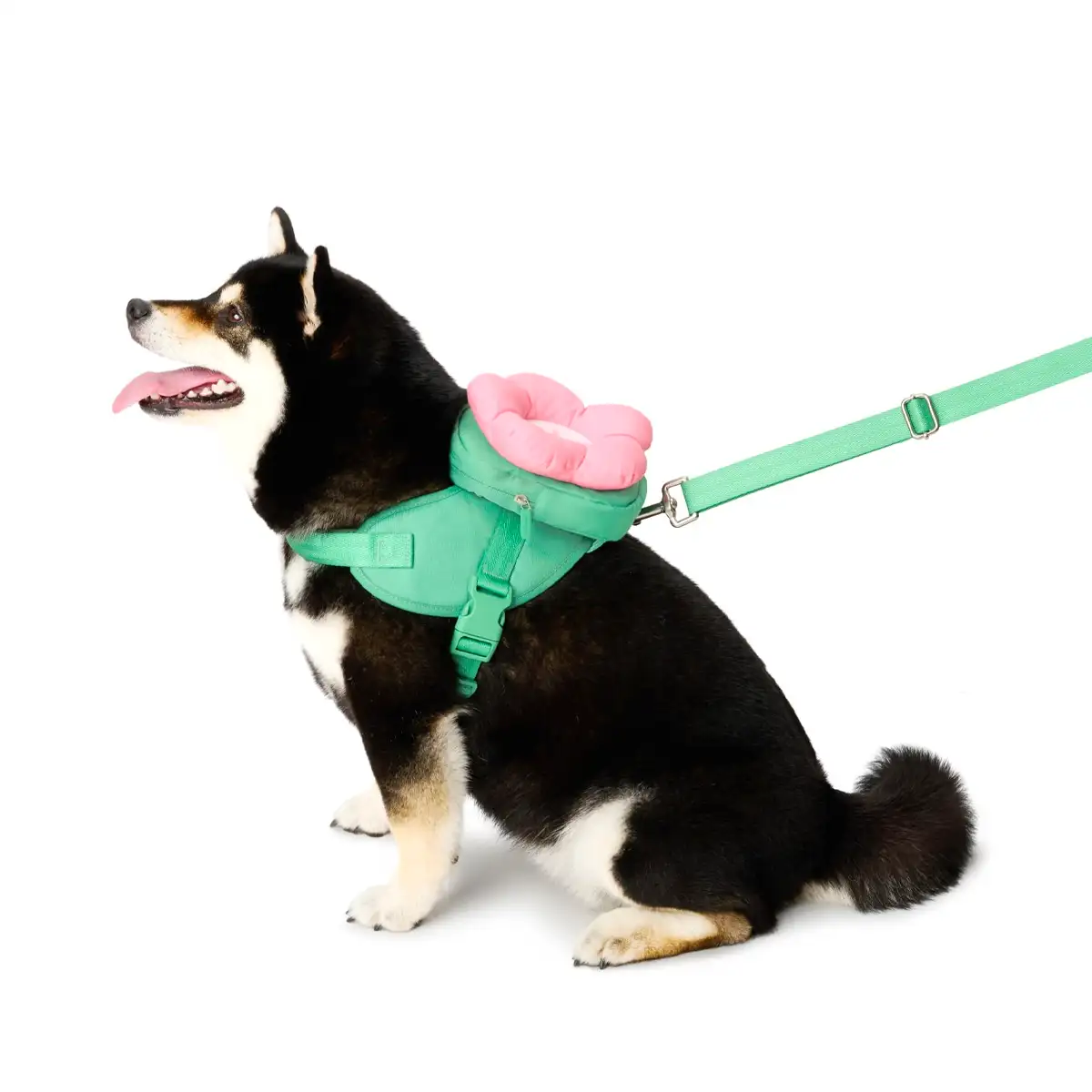 Vetreska - Flora Pet Backpack & Harness 3 in 1 Set