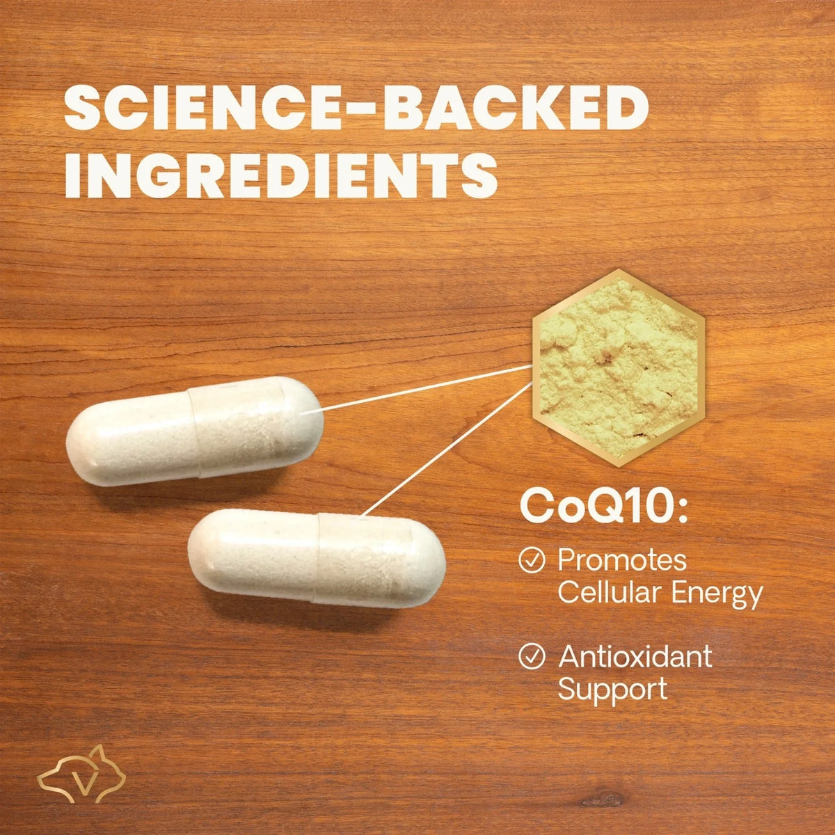 VetriScience - CoQ10 Healthy Heart (Coenzyme Q10) for Dogs & Cats (100 Capsules)