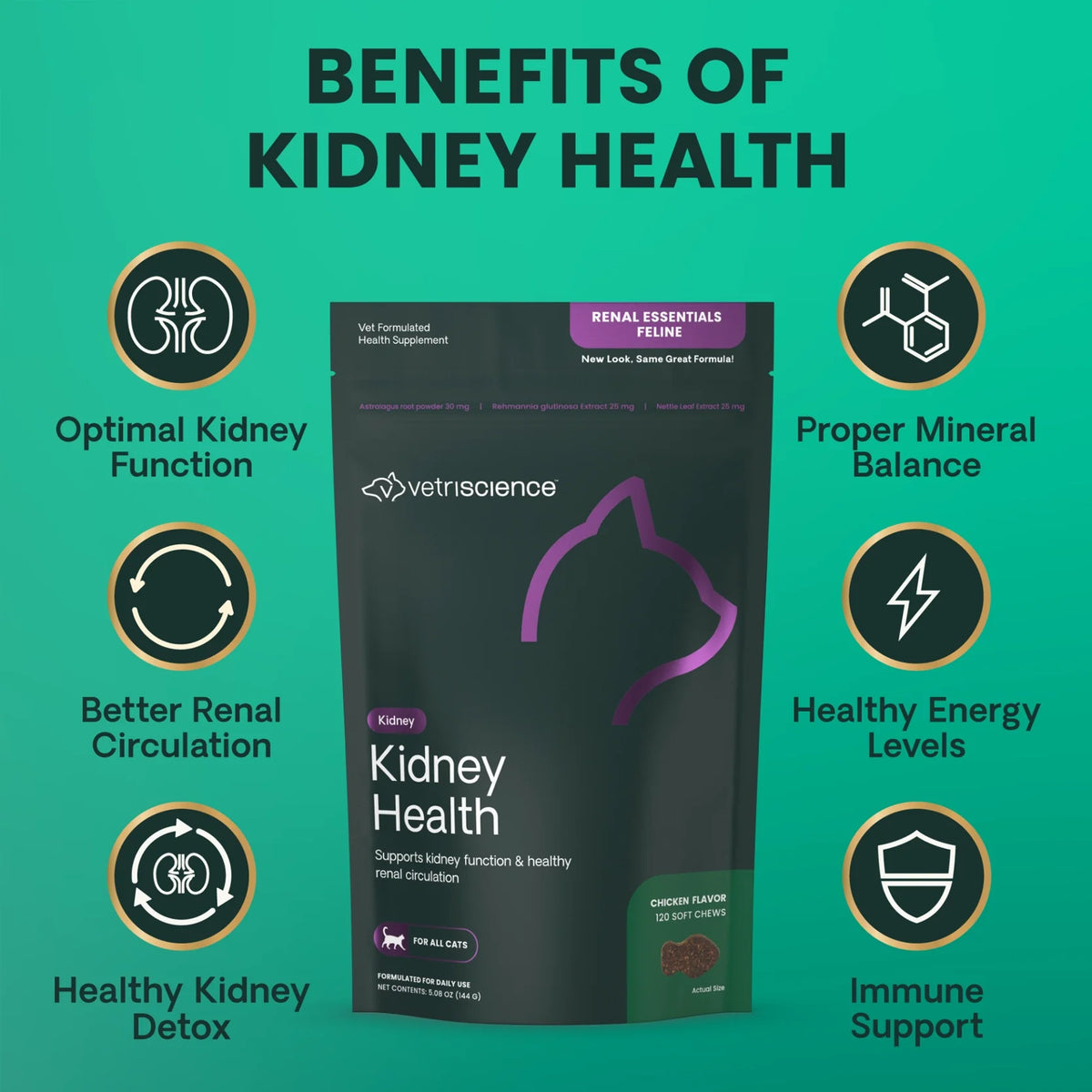VetriScience - Kidney Health (Renal Essentials Feline) for Cats (120 Chews)