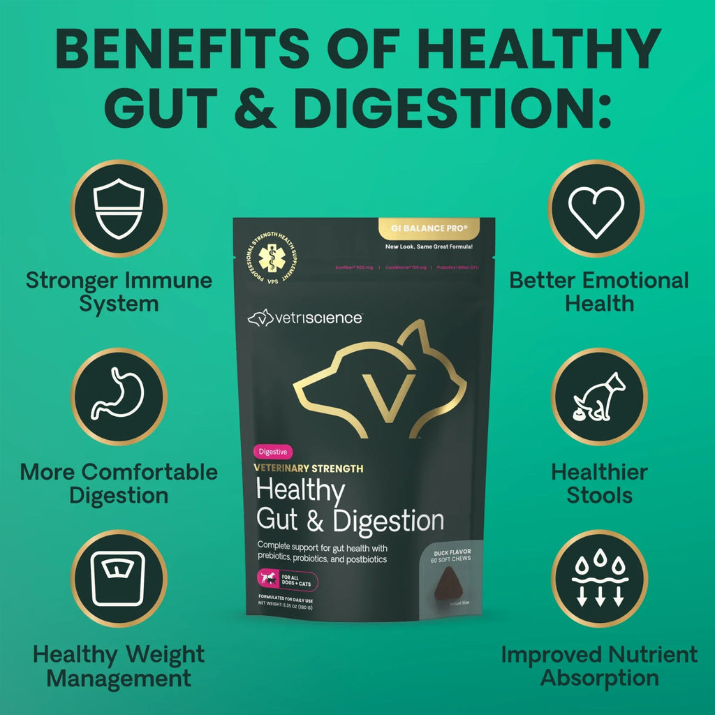 VetriScience - Veterinary Strength Healthy Gut & Digestion (GI Balance Pro) for Dogs & Cats (60 Chews)
