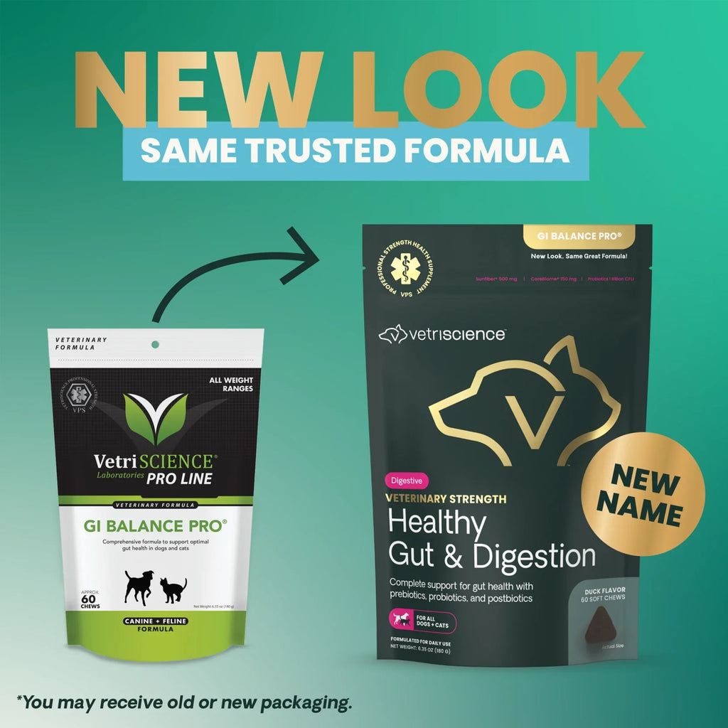 VetriScience - Veterinary Strength Healthy Gut & Digestion (GI Balance Pro) for Dogs & Cats (60 Chews)