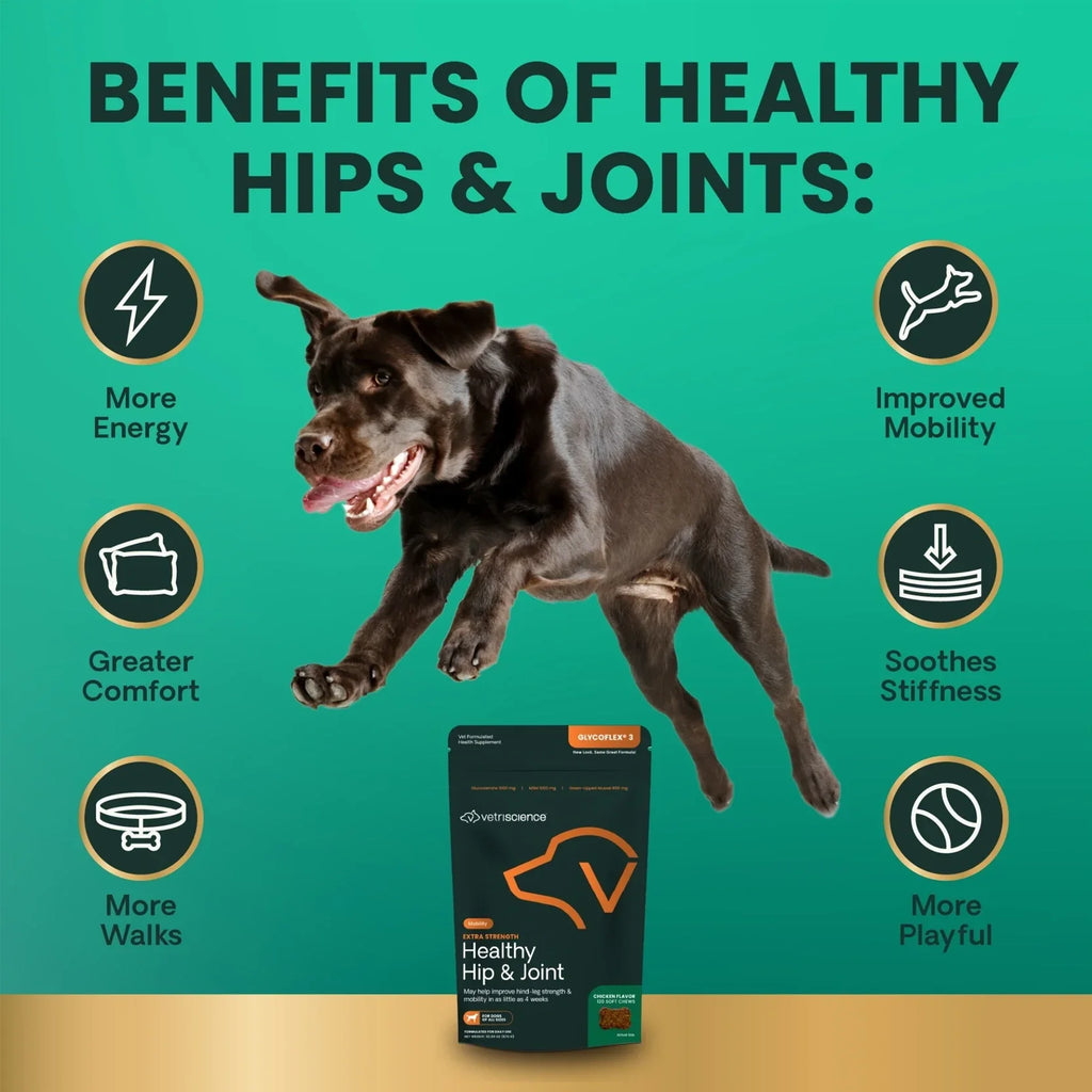 VetriScience - Extra Strength Healthy Hip & Joint (GlycoFlex 3) for Dogs (120 Chews)