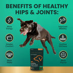 VetriScience - Extra Strength Healthy Hip & Joint (GlycoFlex 3) for Dogs (120 Chews)