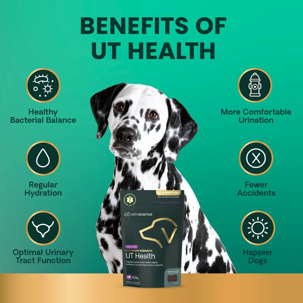 VetriScience - Veterinary Strength UT Health (UT Strength Pro) for Dogs (60 Chews)