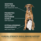 VetriScience - Veterinary Strength Allergy & Itch Support (Derma StrengthPro) for Dogs & Cats (90 Chews)