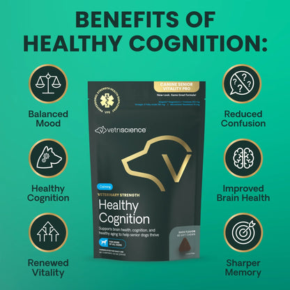 VetriScience - Veterinary Strength Healthy Cognition (Canine Senior Vitality Pro) for Dogs (60 Chews)