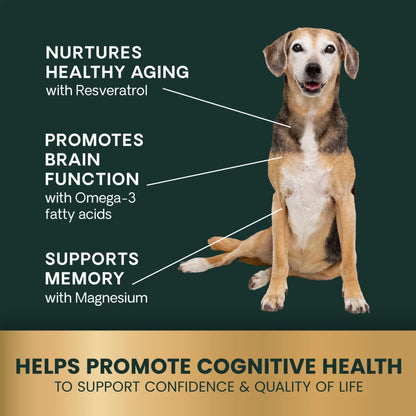 VetriScience - Veterinary Strength Healthy Cognition (Canine Senior Vitality Pro) for Dogs (60 Chews)