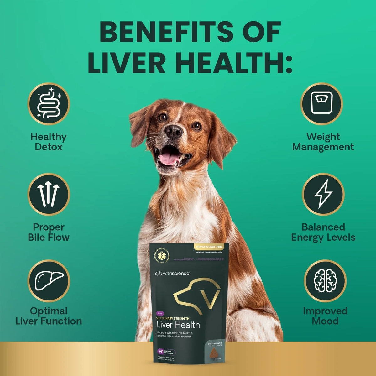 VetriScience - Veterinary Strength Liver Health (Hepaticlear Pro) for Dogs (60 Chews)