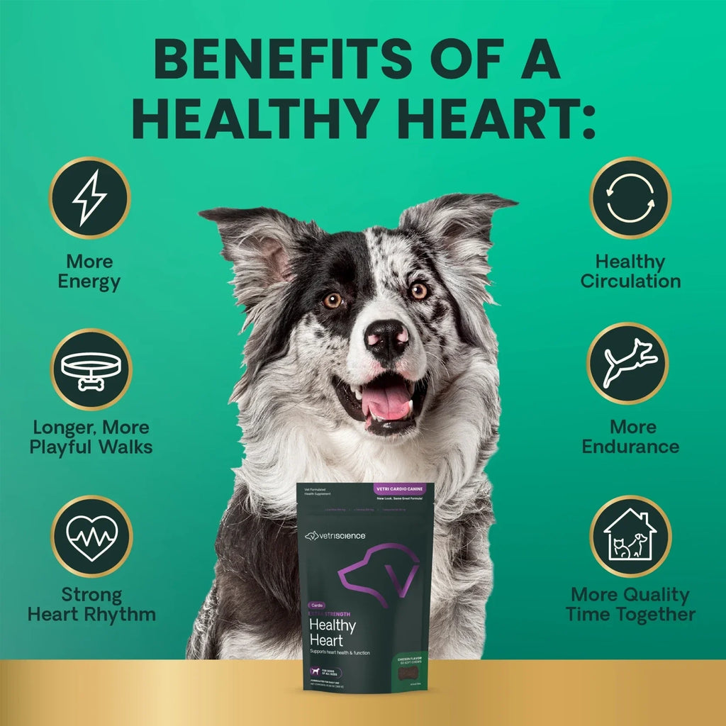 VetriScience - Extra Strength Healthy Heart (Vetri Cardio Canine) for Dogs (60 Chews)