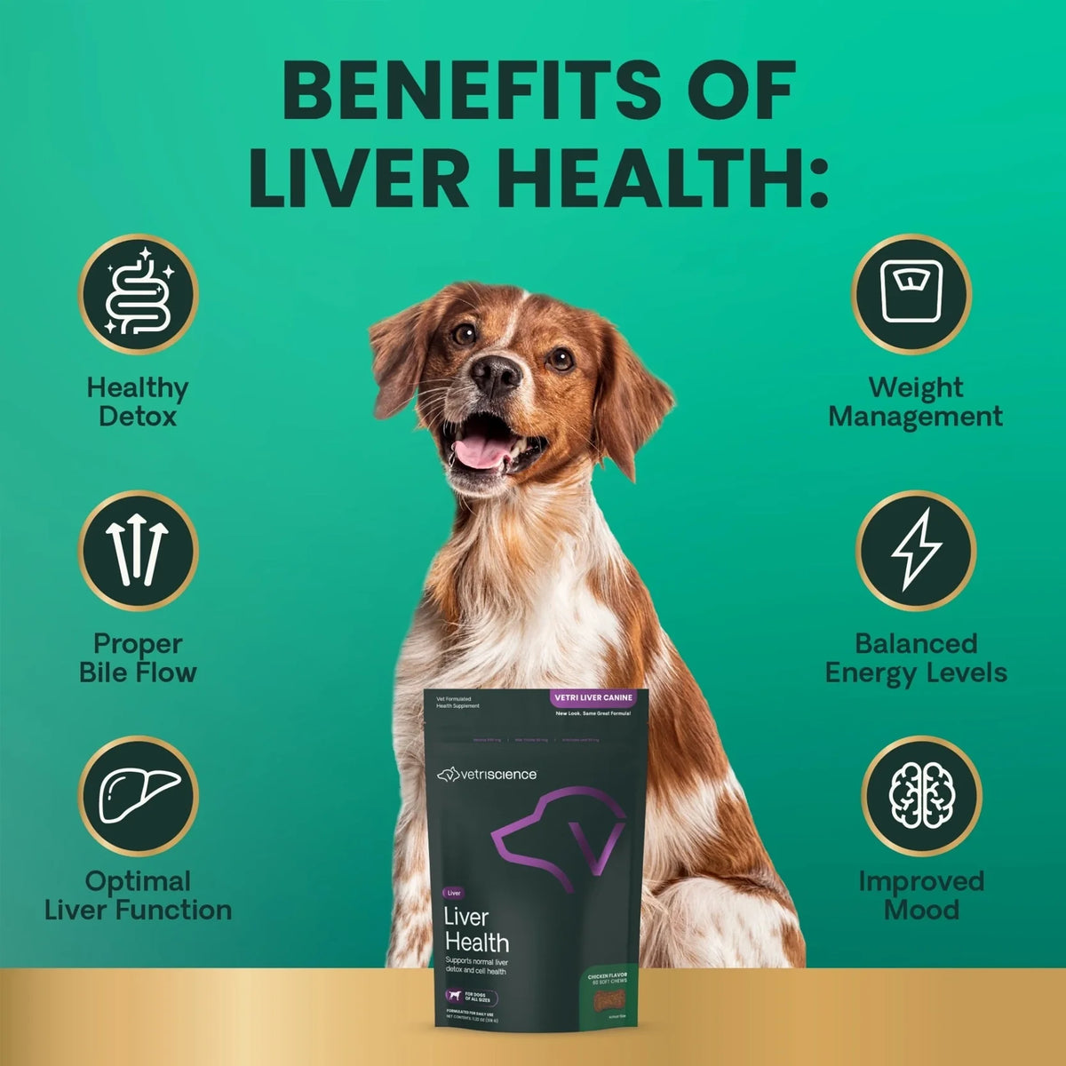 VetriScience - Liver Health (Vetri Liver Canine) for Dogs (60 Chews)