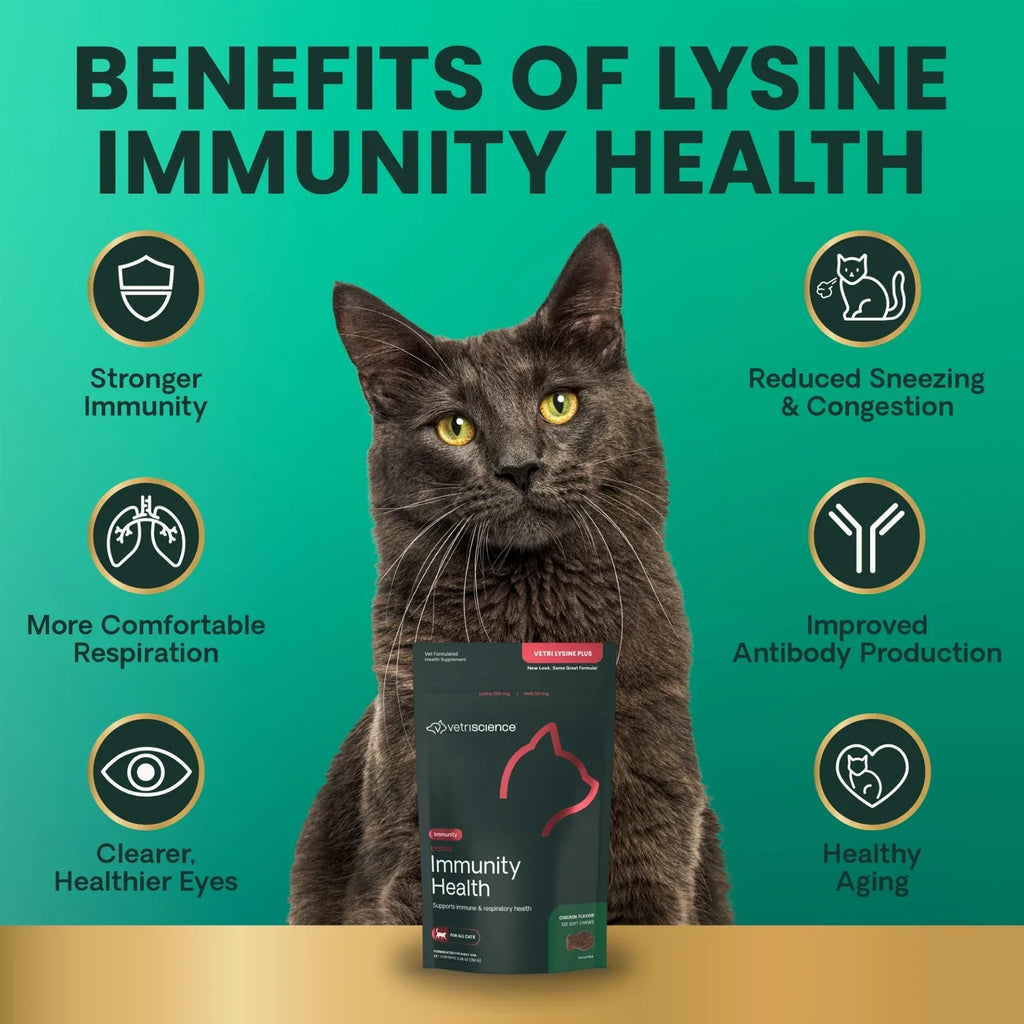 VetriScience - Lysine Immunity Health (Vetri Lysine Plus) for Cats (120 Chews)