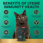 VetriScience - Lysine Immunity Health (Vetri Lysine Plus) for Cats (120 Chews)