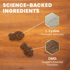 VetriScience - Lysine Immunity Health (Vetri Lysine Plus) for Cats (120 Chews)