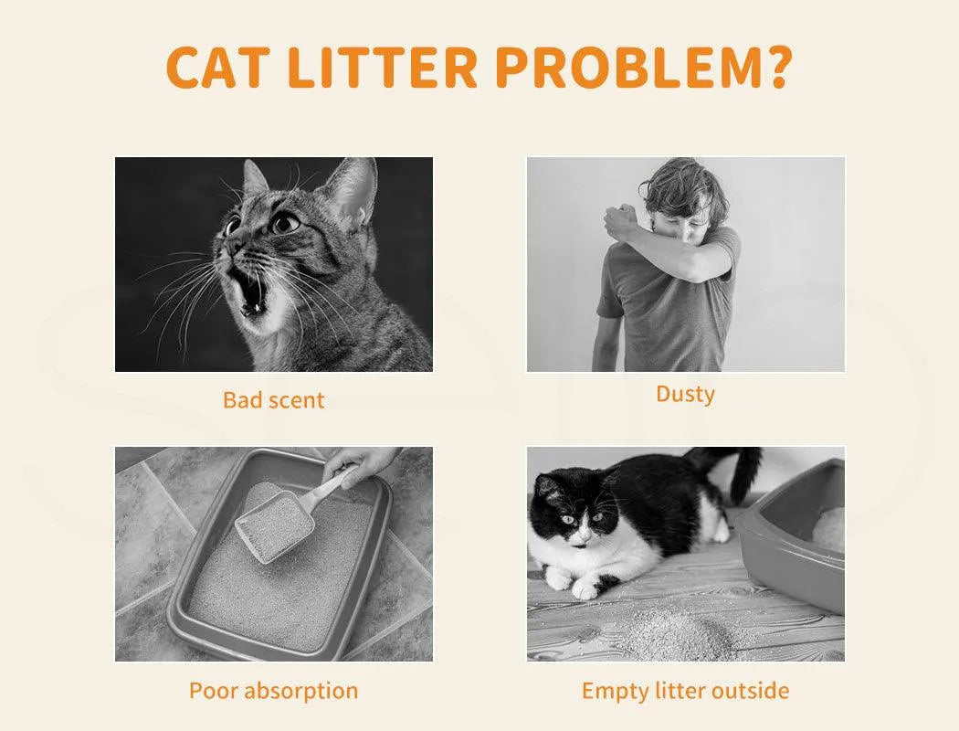 PaWz Tofu Cat Litter