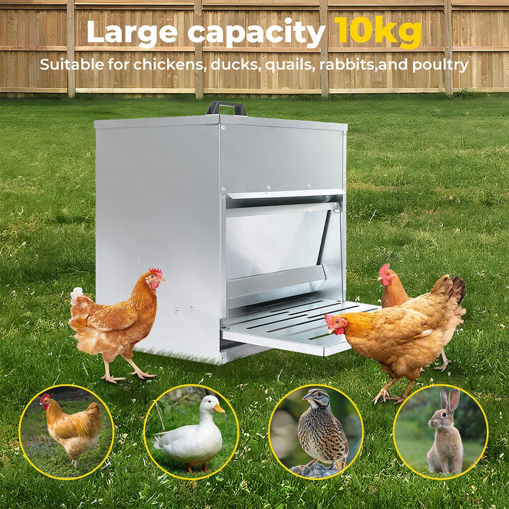 Automatic Chicken Feeder Auto Treadle 10kg Food Dispenser Galvanized Steel