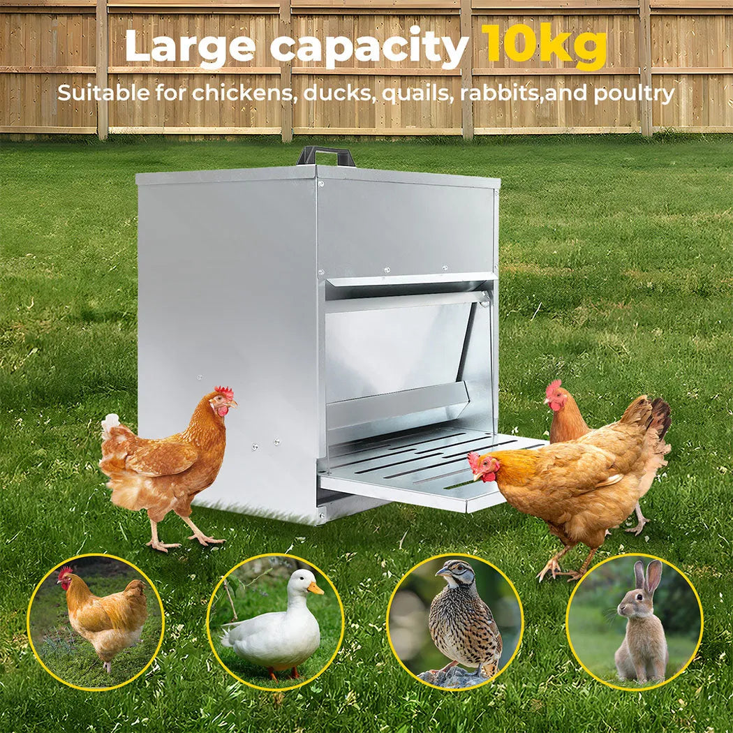 Automatic Chicken Feeder Auto Treadle 10kg Food Dispenser Galvanized Steel