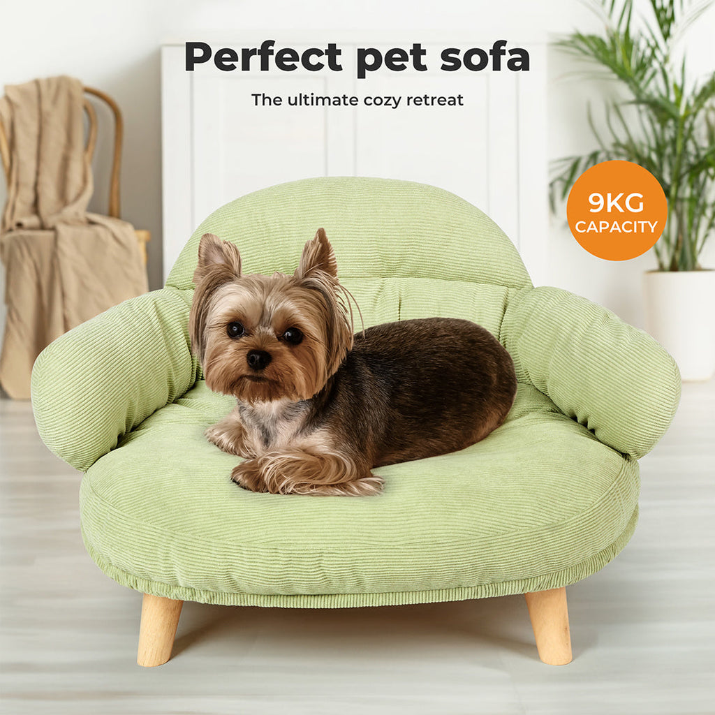CloudNest Elevated Pet Sofa Bed