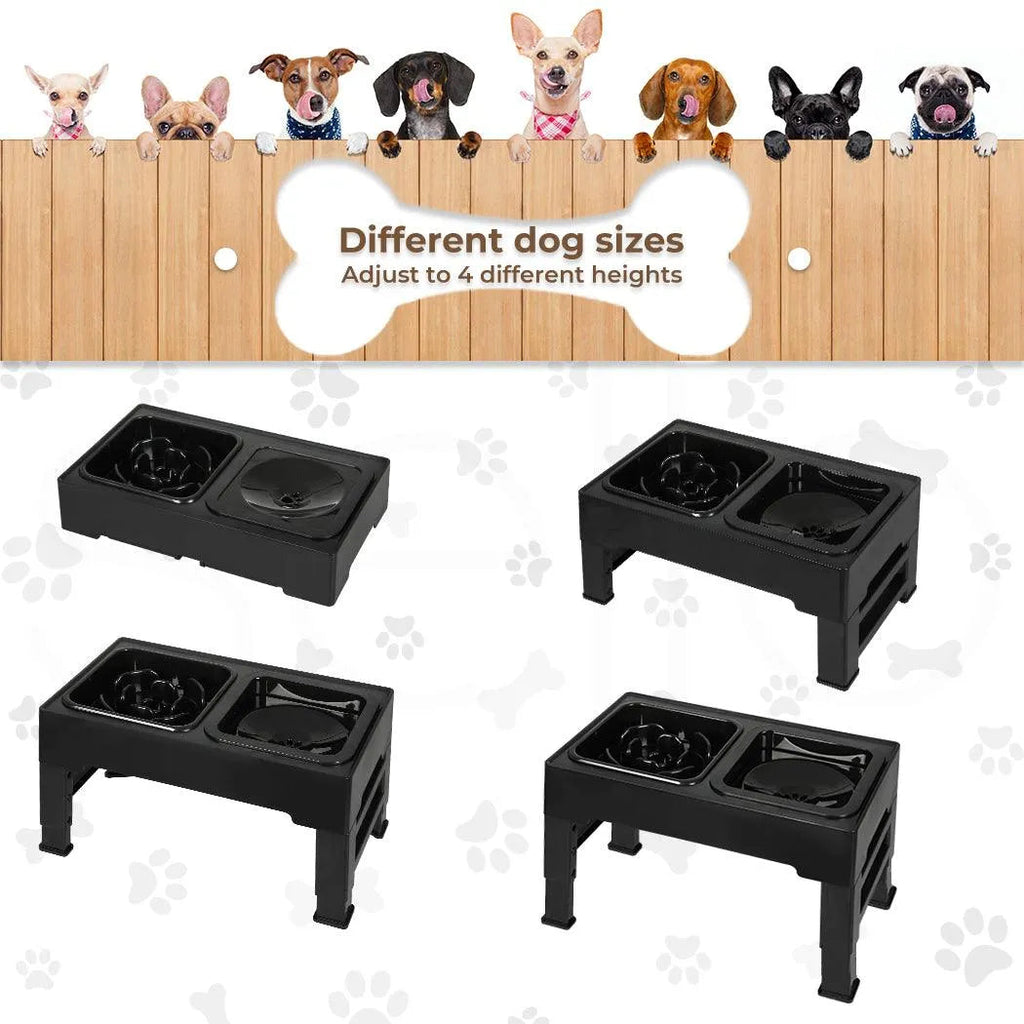Raised Pet Feeder with No-Spill Slow Feeder Bowl