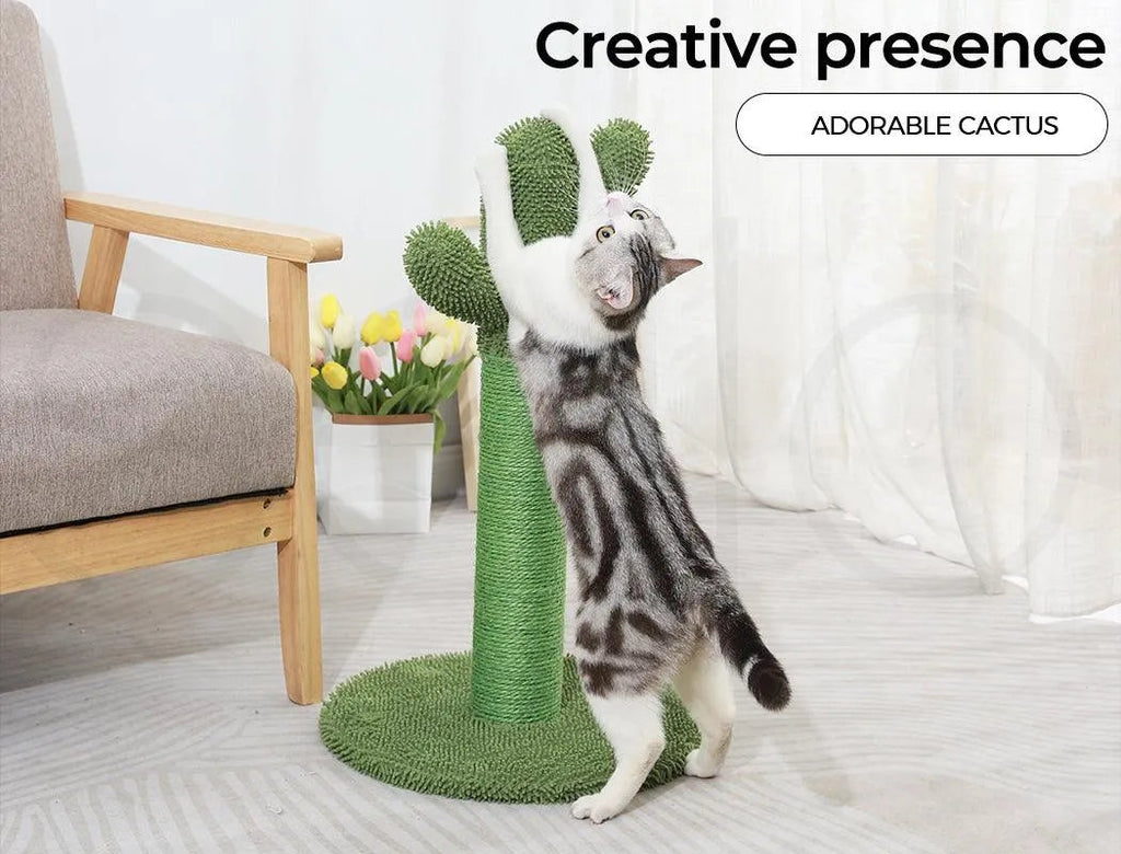 Cat Scratcher Post Cactus