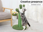 Cat Scratcher Post Cactus