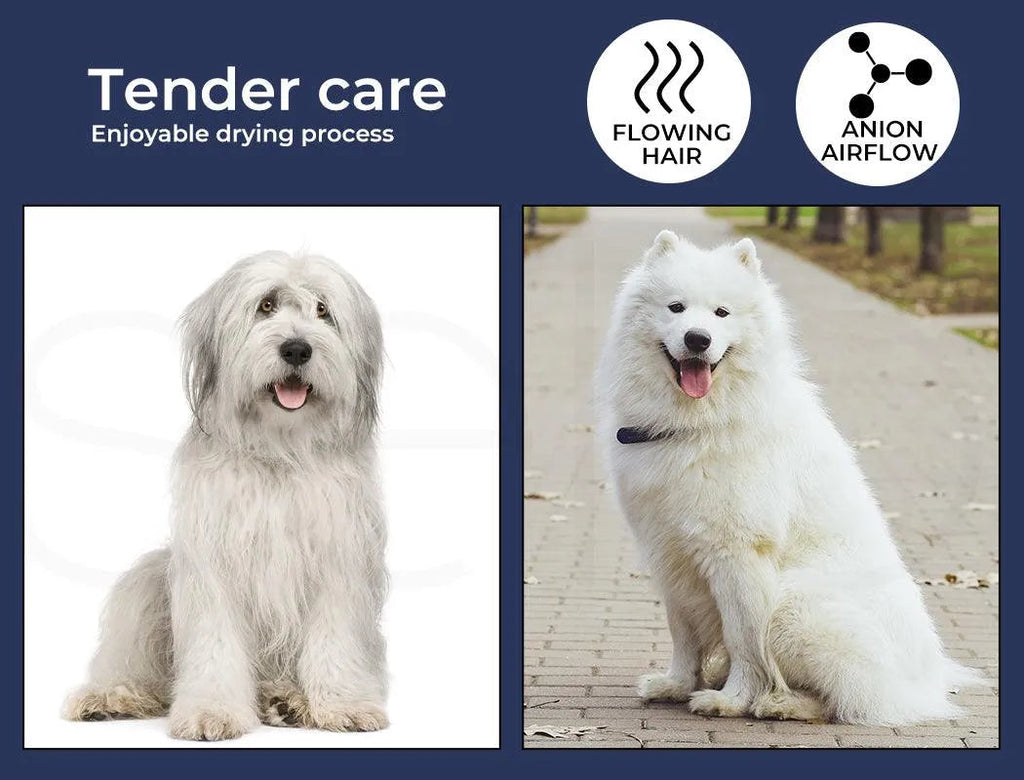 Pet Dryers
