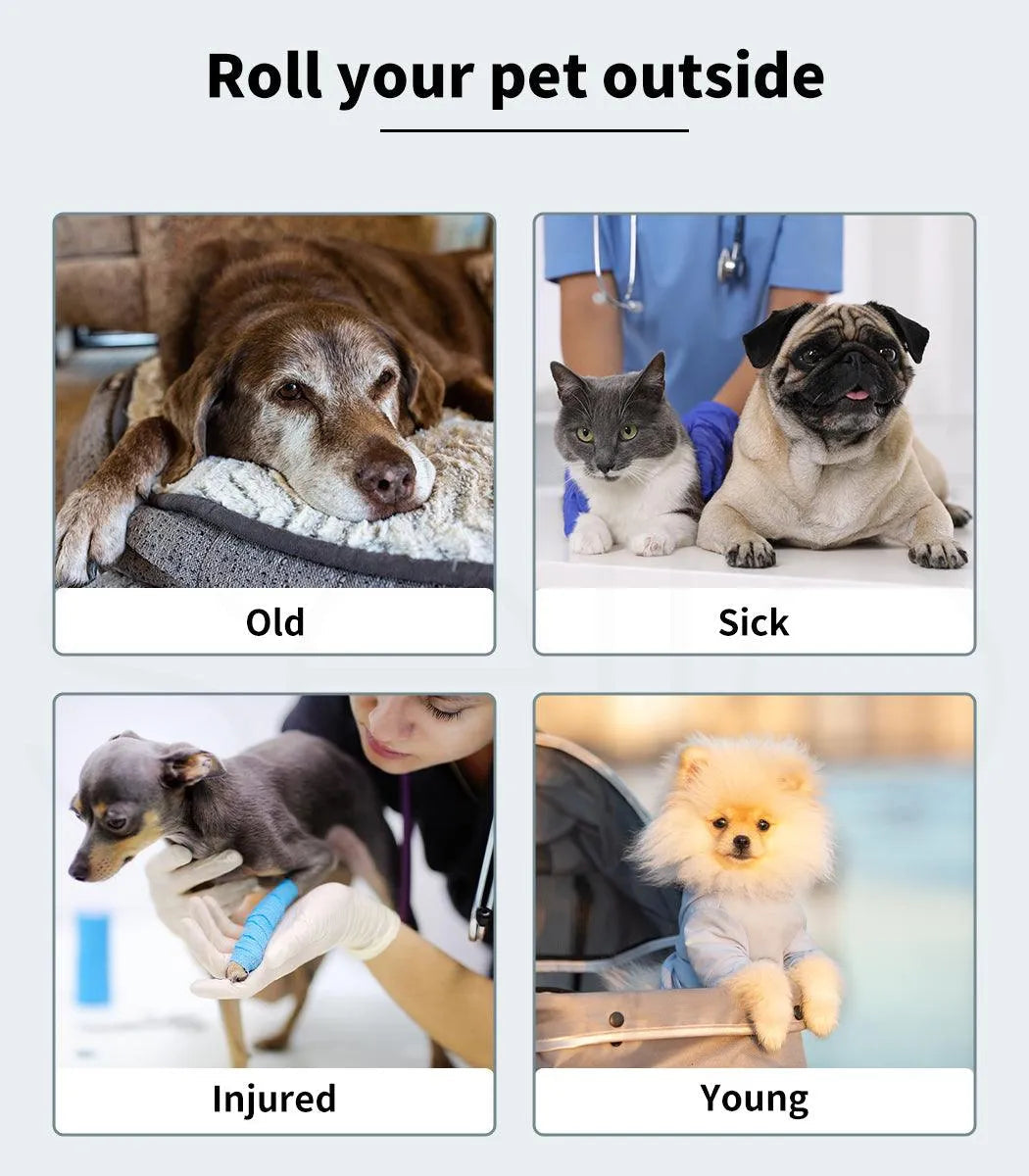 4 Wheels Pet Stroller Deluxe