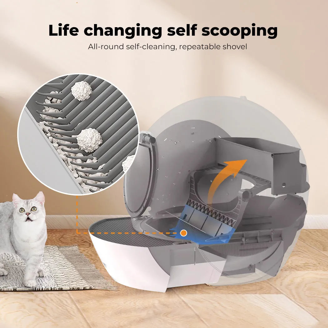 1Pcs Grey Replaceable Rake for Self-Cleaning Cat Litter Box Easy to Install