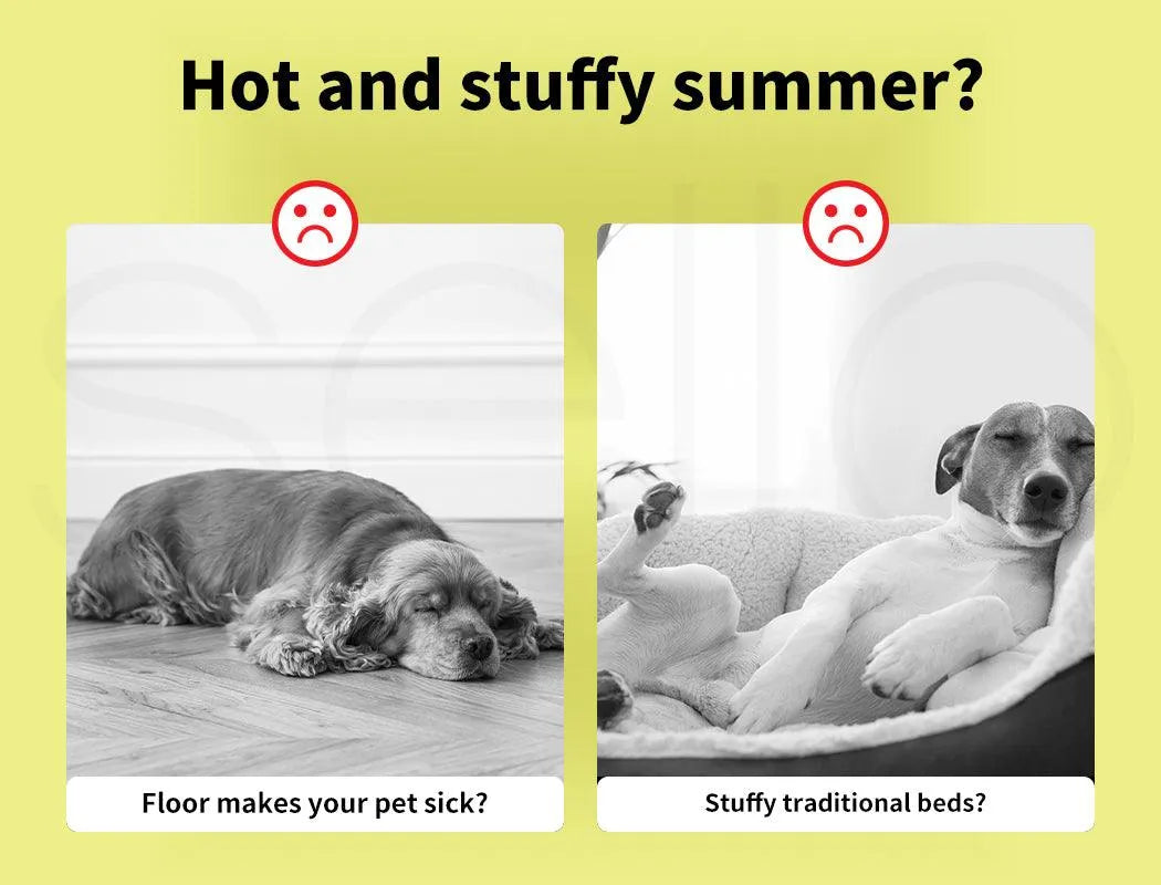 Dog Summer Cooling Mat