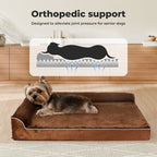 Orthopedic Dog Bed with Memory Foam Cushion - Washable Cover