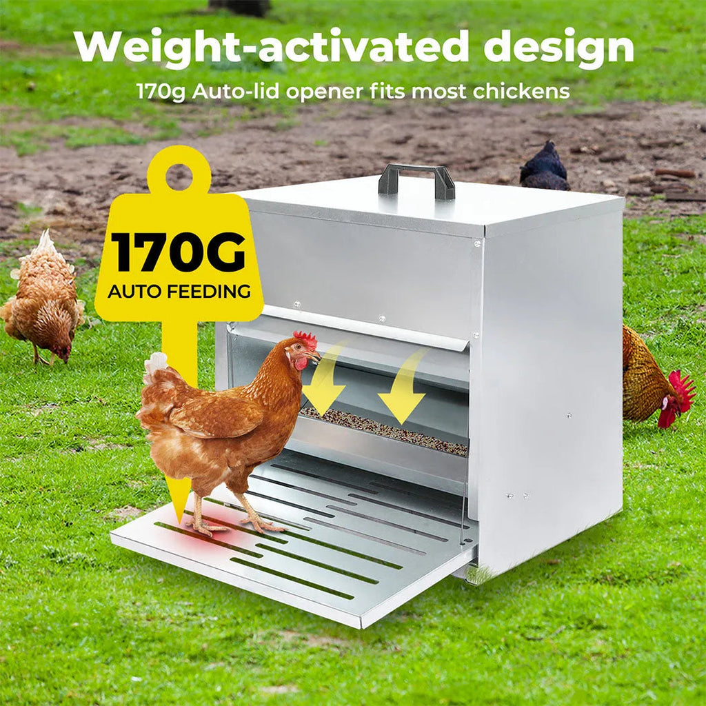 Automatic Chicken Feeder Auto Treadle 10kg Food Dispenser Galvanized Steel