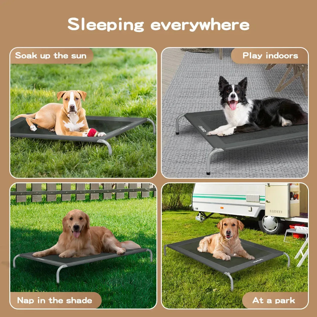 Outdoor Dog Bed - Pet Trampoline