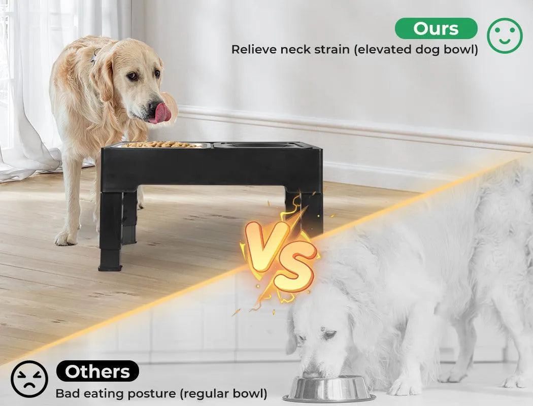 Elevated Pet Feeder with Steel Non-Slip Bowl