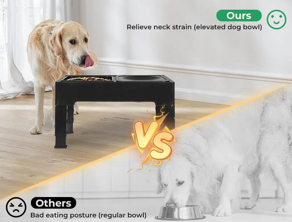 Raised Pet Feeder with No-Spill Slow Feeder Bowl